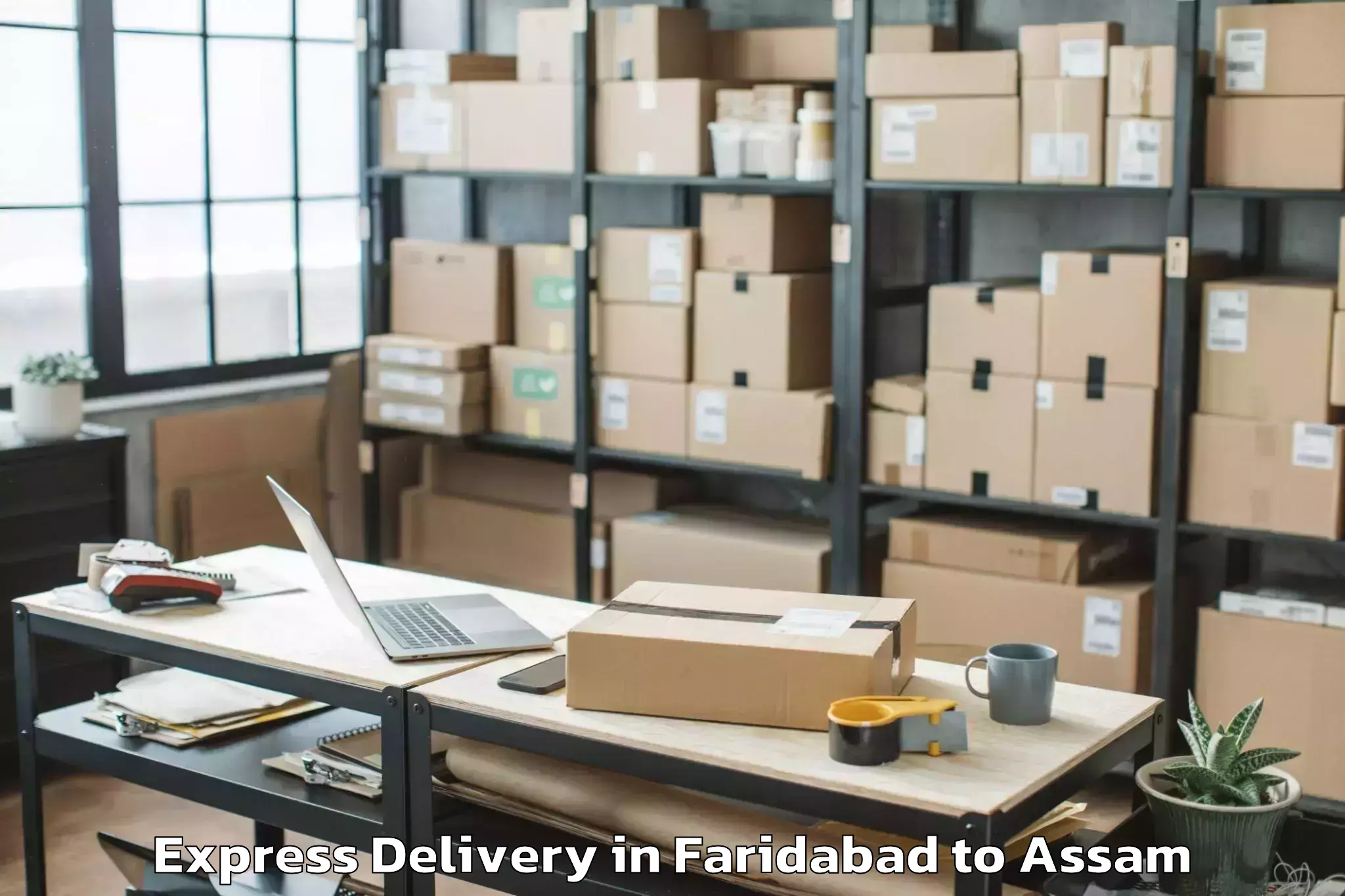 Leading Faridabad to Balijan Express Delivery Provider